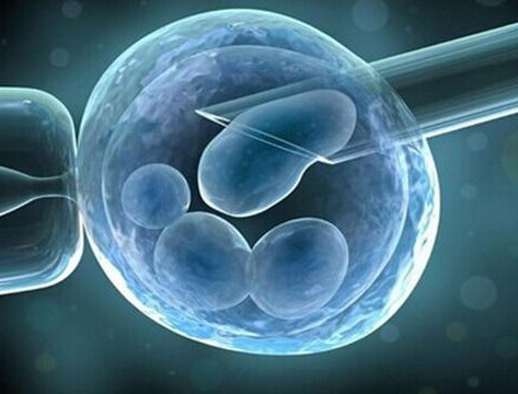 遗传咨询科